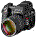 写真を表示します。